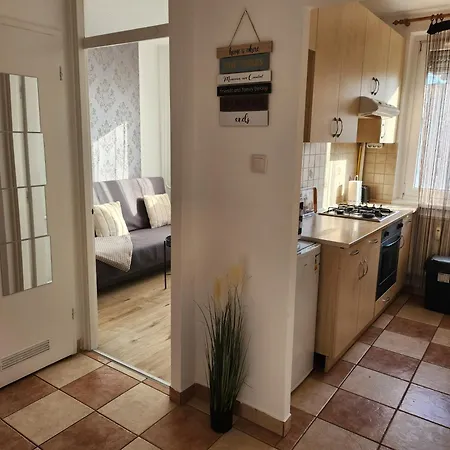 Lizo Deluxe Apartman Szekesfehervar Exterior photo